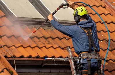Démoussage et hydrofuge de toiture à Manent-Montané